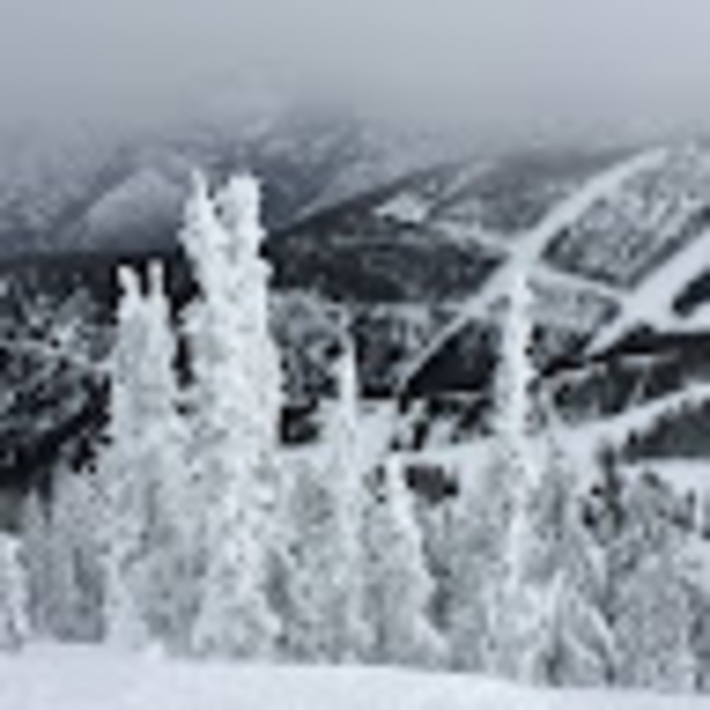 Meet your Posher, Jordyn